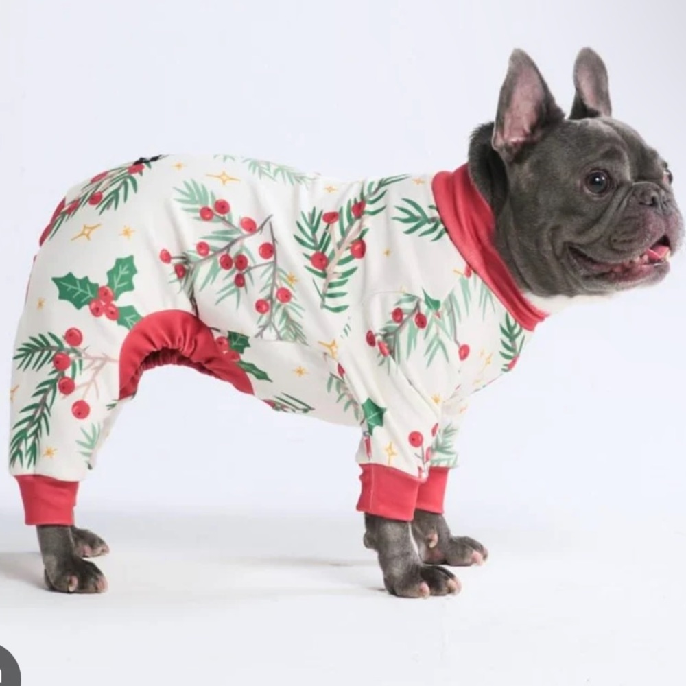 Spark Paws Christmas PJs 🎄
